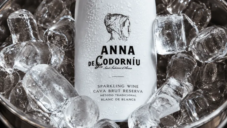 Anna de Codorniu